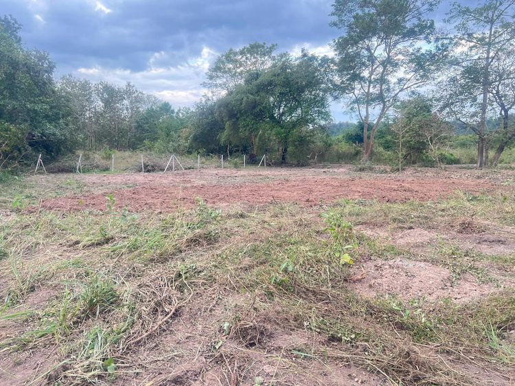 ที่ดินต.ชะอม อ.แก่งคอย