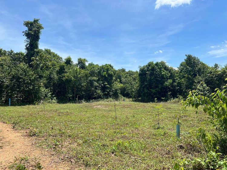 ใช่ ที่ดินเปล่า 90.5ตารางวา น้ำไม่ท่วม ใกล้สนามบินหาดใหญ่ รูปที่ 4