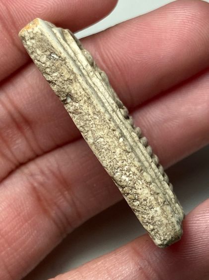 พระสมเด็จเกศไชโย 9 ชั้น รูปที่ 3