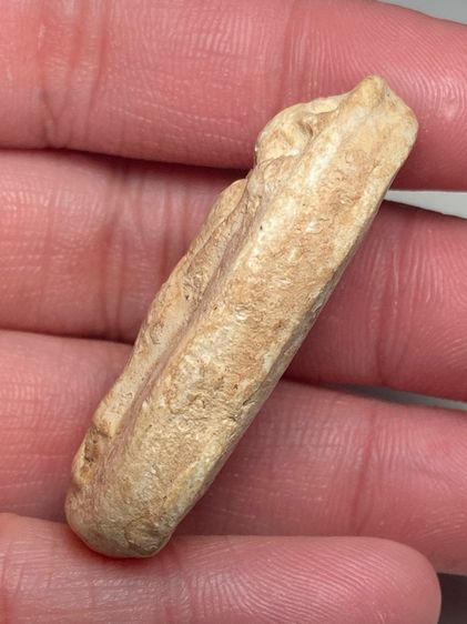 พระยืนถือดอกบัวเนื้อผง รูปที่ 4