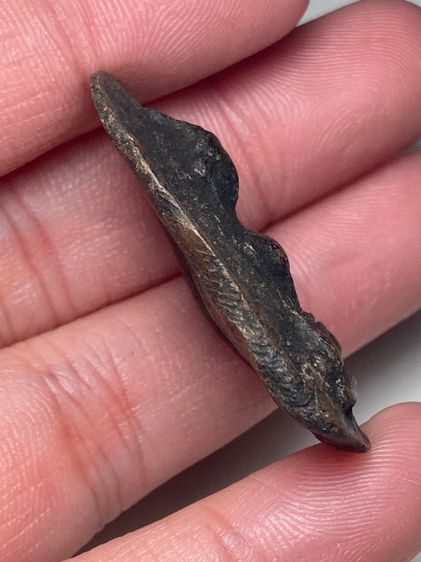 พระปางมารวิชัยเนื้อดิน รูปที่ 3