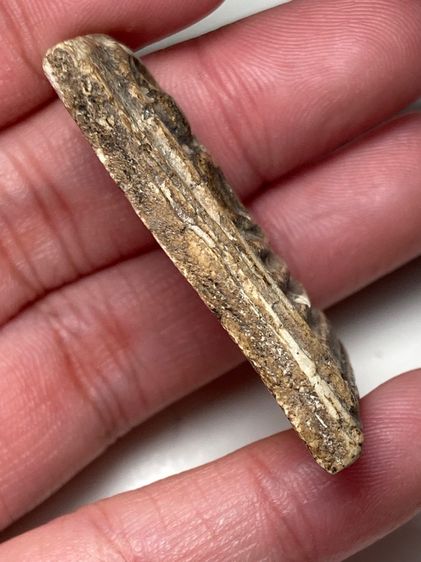 พระสมเด็จเนื้อผงเก่า รูปที่ 3