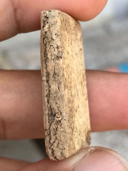 เจดีย์(มวลสารชัด) รูปที่ 8