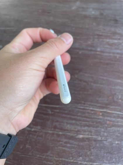 Apple Pencil 2 รูปที่ 2