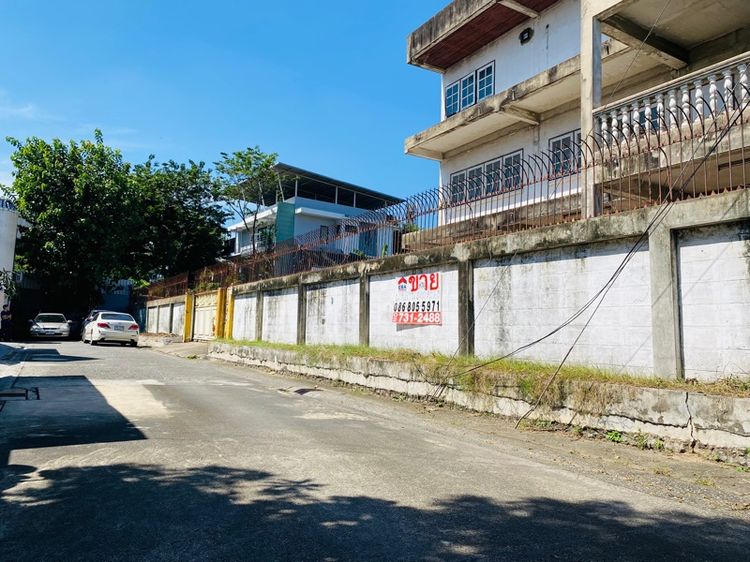 ใช่ ขายด่วนขายถูกที่ดิน400วา วาละ129999บาท สุขุมวิท60ทับ1 รูปที่ 3