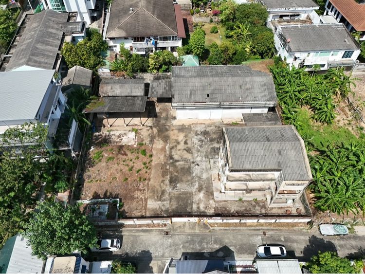 ใช่ ขายด่วนขายถูกที่ดิน400วา วาละ129999บาท สุขุมวิท60ทับ1 รูปที่ 2