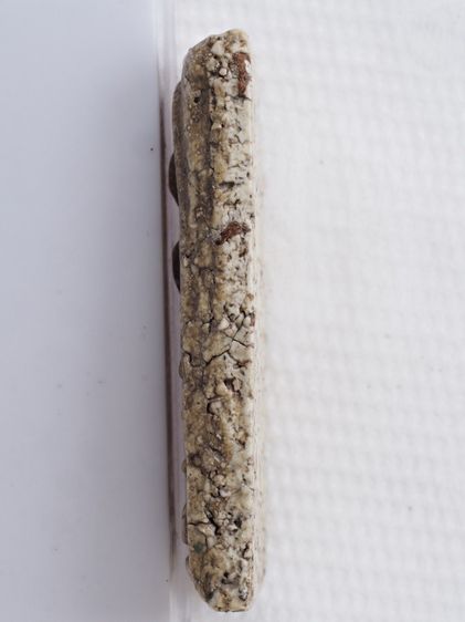 พระสมเด็จ 27016906 รูปที่ 4