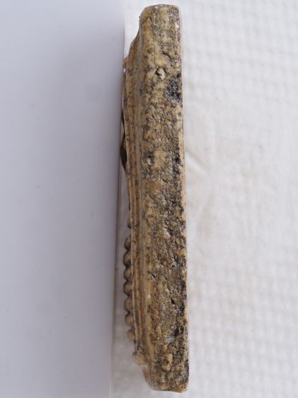 พระสมเด็จ วัดเกศไชโย 27016916 รูปที่ 4