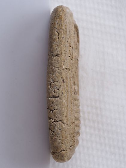 พระสมเด็จ วัดเกศไชโย 27016919 รูปที่ 3