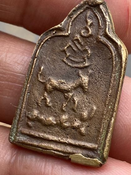 หลวงพ่อแป้นหลังแพะ รูปที่ 8