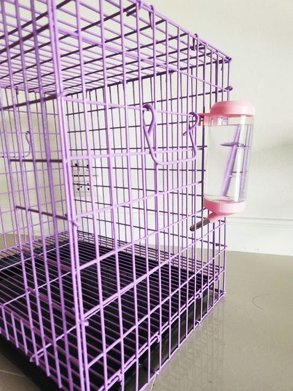 กรงสัตว์เลี้ยง ขวดน้ำสัตว์เลี้ยง รูปที่ 2