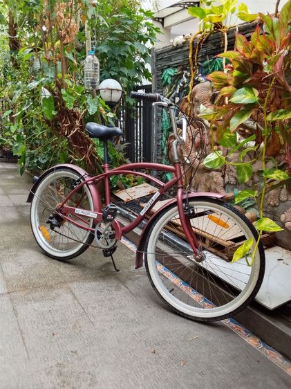 จักรยานพับ 20 นิ้ว รูปที่ 12