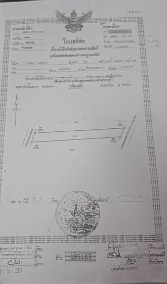 ขายที่ดิน 5 ไร่ ที่สวย ราคาถูก ติดเขา บรรยากาศดี