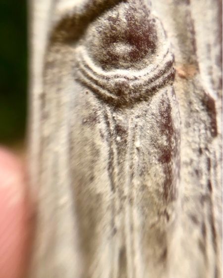 พระร่วงหลังรางปืน (พิมพ์เล็ก) รูปที่ 11