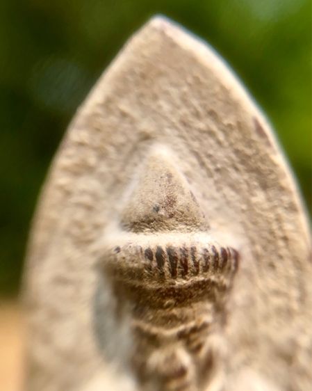 พระร่วงหลังรางปืน (พิมพ์เล็ก) รูปที่ 8