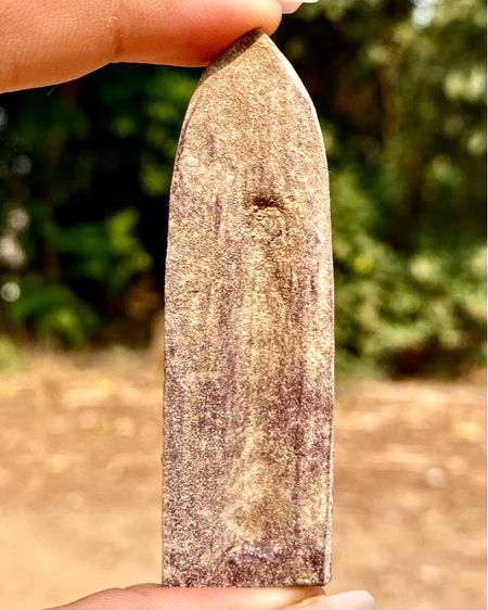 พระร่วงหลังรางปืน (พิมพ์เล็ก) รูปที่ 2