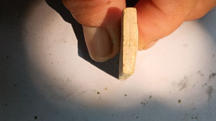 พระสมเด็จหลวงพ่อรวยรุ่นแรก รูปที่ 7