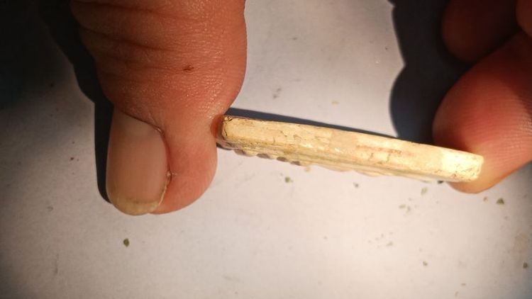 พระสมเด็จหลวงพ่อรวยรุ่นแรก รูปที่ 10