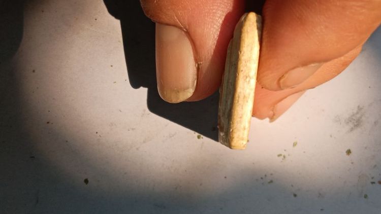 พระสมเด็จหลวงพ่อรวยรุ่นแรก รูปที่ 8