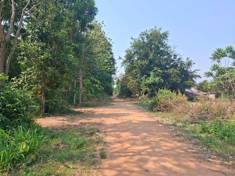 ขายที่ดินแปลงสวย ทำเลดี ติดถนน 2 ด้าน อ.มัญจาคีรี จ.ขอนแก่น