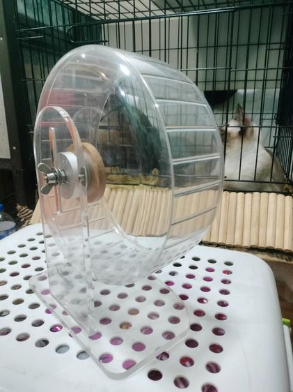 จักรออกกำลังกายแฮมเตอร์ รูปที่ 4