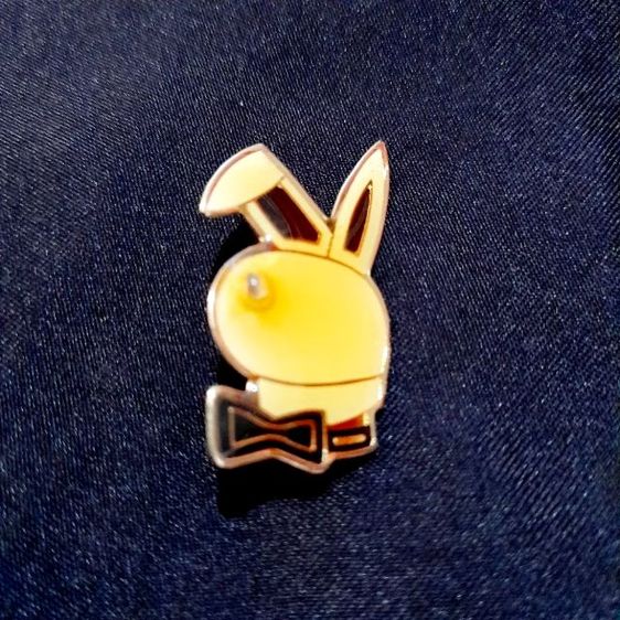 Pin เข็มกลัดวินเทจ รูปที่ 16