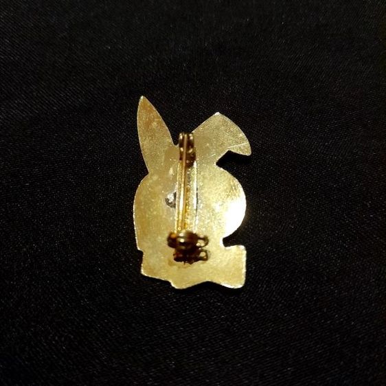 Pin เข็มกลัดวินเทจ รูปที่ 17