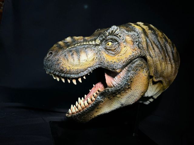 ไดโนเสาร์ : ทีเร็กซ์ รูปที่ 13