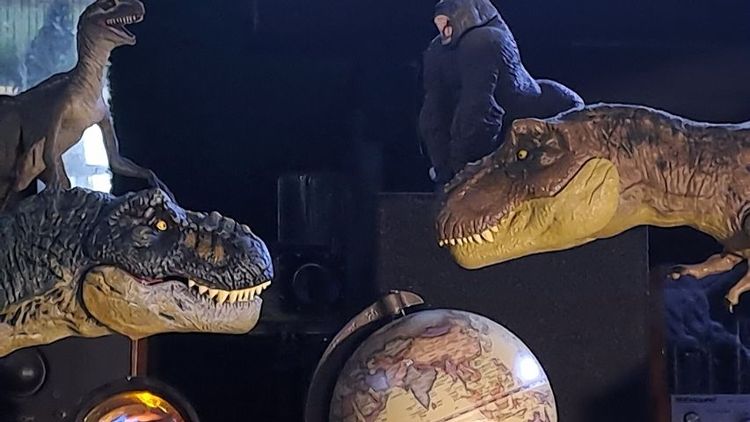 ไดโนเสาร์ : ทีเร็กซ์ รูปที่ 4