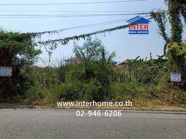 ที่ดินเปล่า 64 ตร.ว. ที่ดิน ซอยข้างหมู่บ้านเศรณีวิลล่า ถนนกาญจนาภิเษก ถนนบ้านกล้วย-ไทรน้อย บางบัวทอง นนทบุรี