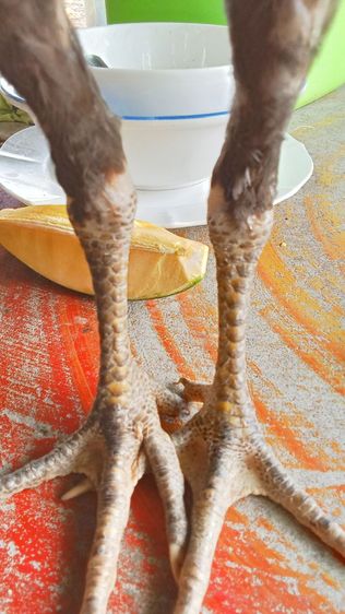 หลานกุมารจีน รูปที่ 3