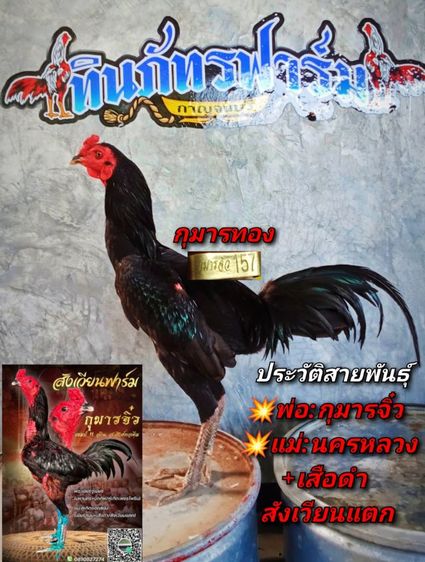 หลานกุมารจีน รูปที่ 4