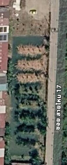 ขายที่ดิน 2 ไร่ ทำเลดี ใกล้ถนนใหญ่ เหมาะลงทุน หรือ ทำโครงการ รูปที่ 2