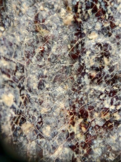 พระร่วงหลังรางปืน พิมนิยม กรุวัดพระศรีรัตนมหาธาตุราชวรวิหาร  หรือกรุวัดพระปรางค์  สุโขทัย   เนื้อตะกั่วสนิมแดง  รูปที่ 17