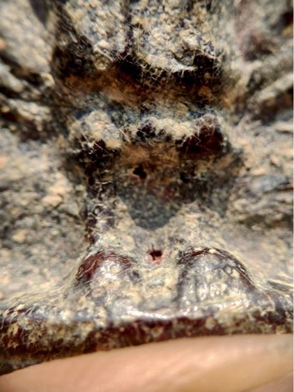 พระร่วงหลังรางปืน พิมนิยม กรุวัดพระศรีรัตนมหาธาตุราชวรวิหาร  หรือกรุวัดพระปรางค์  สุโขทัย   เนื้อตะกั่วสนิมแดง  รูปที่ 11