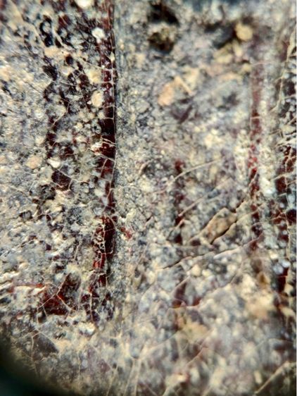 พระร่วงหลังรางปืน พิมนิยม กรุวัดพระศรีรัตนมหาธาตุราชวรวิหาร  หรือกรุวัดพระปรางค์  สุโขทัย   เนื้อตะกั่วสนิมแดง  รูปที่ 16