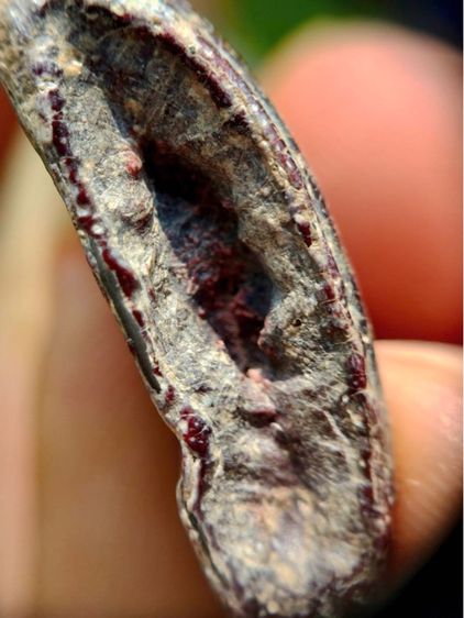 พระร่วงหลังรางปืน พิมนิยม กรุวัดพระศรีรัตนมหาธาตุราชวรวิหาร  หรือกรุวัดพระปรางค์  สุโขทัย   เนื้อตะกั่วสนิมแดง  รูปที่ 18