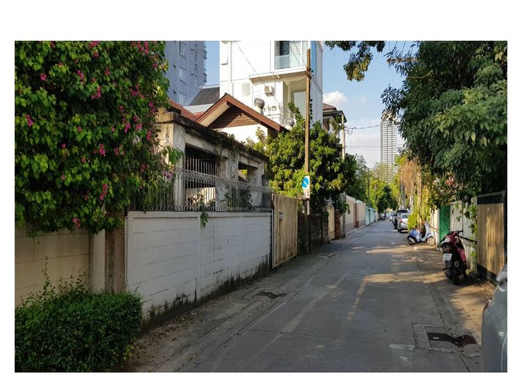 ให้เช่าที่ดินเย็นอากาศ (ซอยประสาทสุข) รูปที่ 3