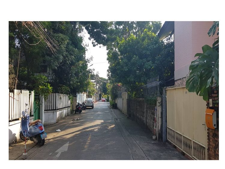 ให้เช่าที่ดินเย็นอากาศ (ซอยประสาทสุข) รูปที่ 4