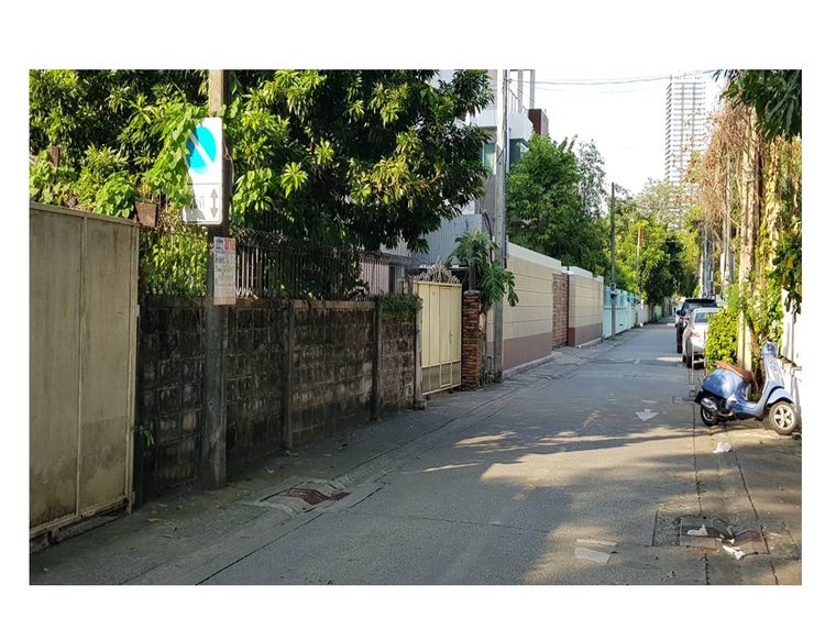 ให้เช่าที่ดินเย็นอากาศ (ซอยประสาทสุข) รูปที่ 2