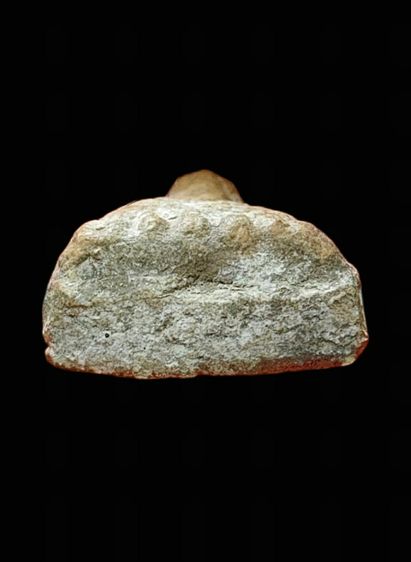 หลวงปู่ทวดเนื้อผงว่าน รูปที่ 4