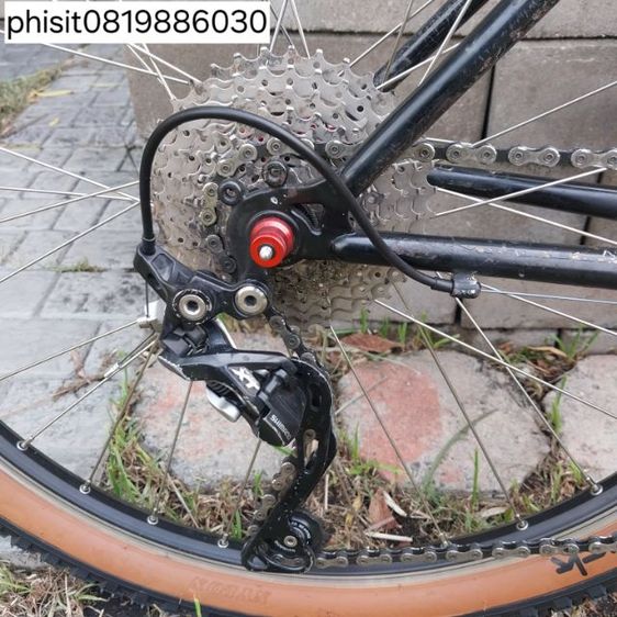 เสือภูเขา โครโม รูปที่ 12