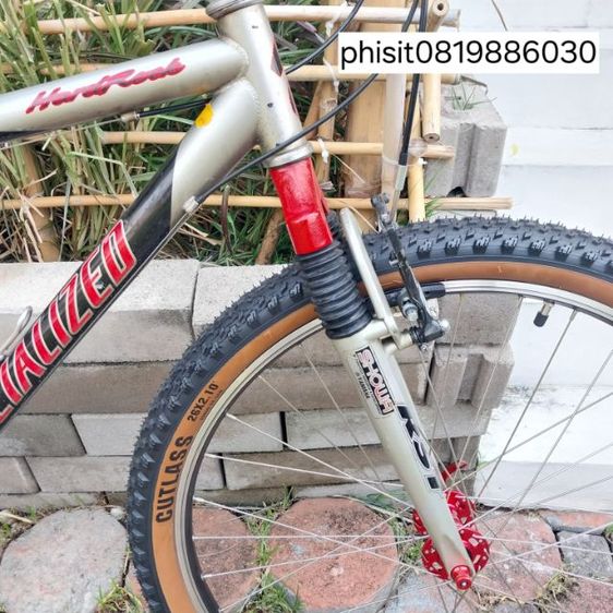 เสือภูเขา โครโม รูปที่ 4