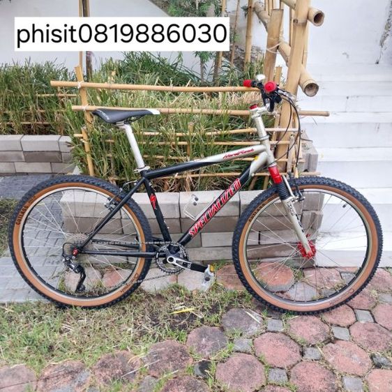 เสือภูเขา โครโม รูปที่ 2