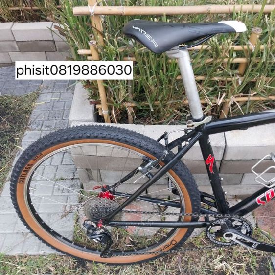 เสือภูเขา โครโม รูปที่ 14