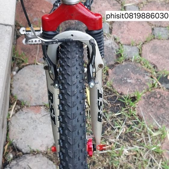 เสือภูเขา โครโม รูปที่ 10