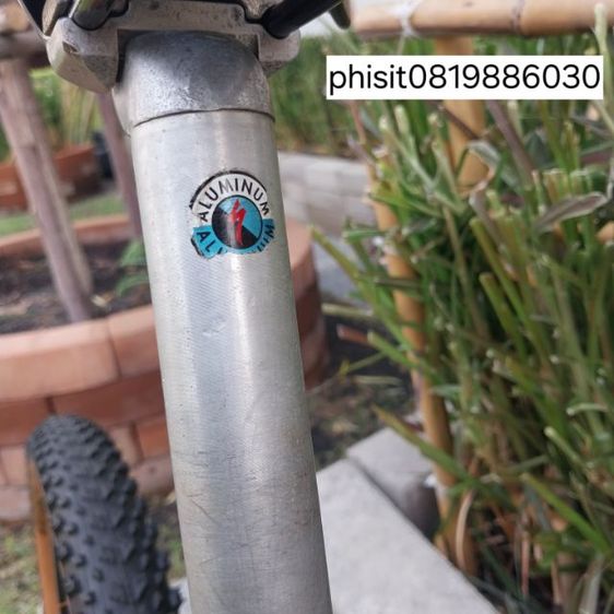 เสือภูเขา โครโม รูปที่ 11