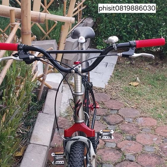 เสือภูเขา โครโม รูปที่ 3