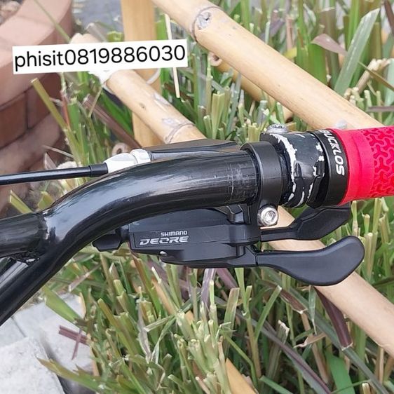 เสือภูเขา โครโม รูปที่ 6