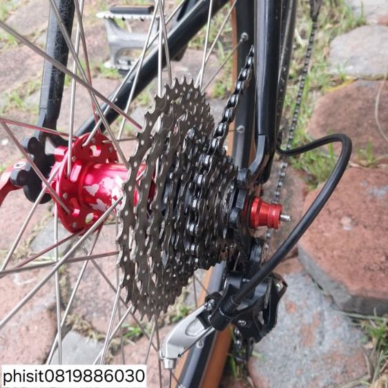 เสือภูเขา โครโม รูปที่ 9